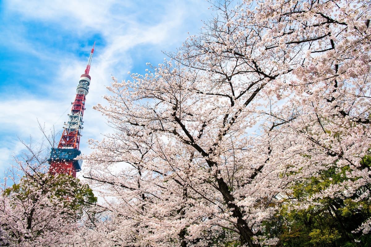 아자부주반역 도보1분 / 미나토구, 도쿄 근처 롯폰기 재팬 하우스 / 역 도보1분 / 최대 6명 사진 4